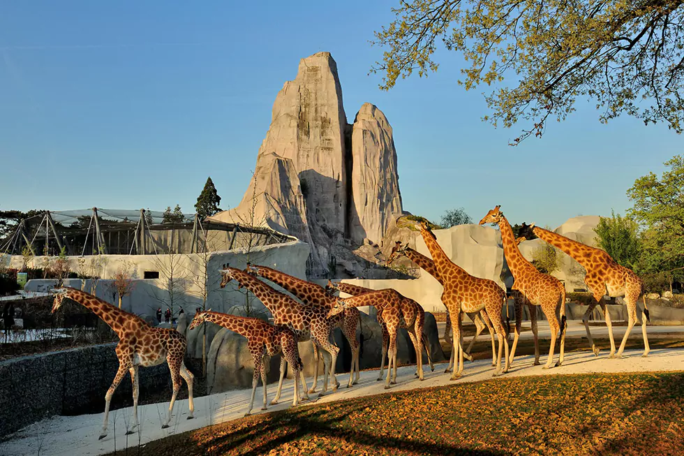 Parc Zoologique de Paris - Destination Vincennes