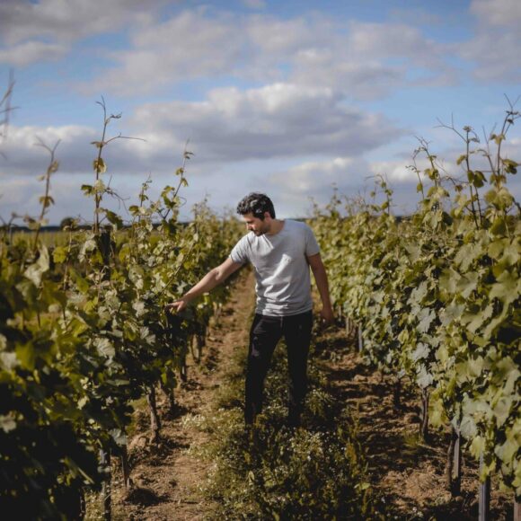 une expérience inoubliable dans la peau d'un vigneron au Domaine La Bouche du Roi.